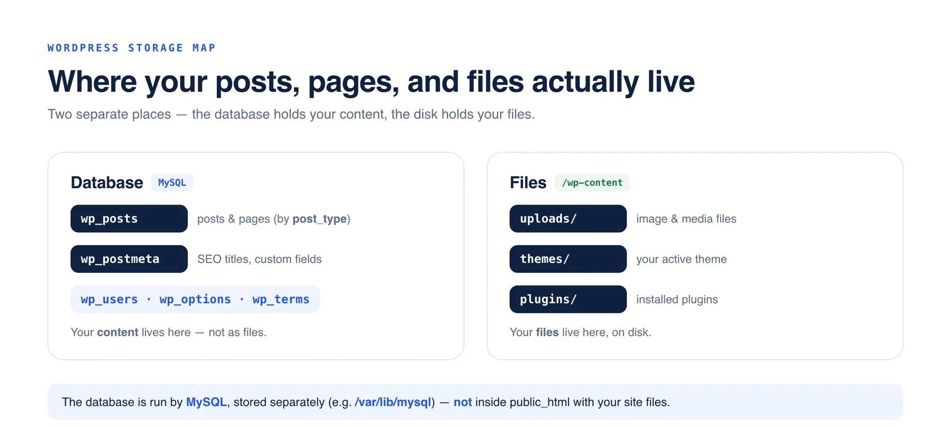 Diagram: WordPress stores content in the database (wp_posts, wp_postmeta) and files on disk in /wp-content
