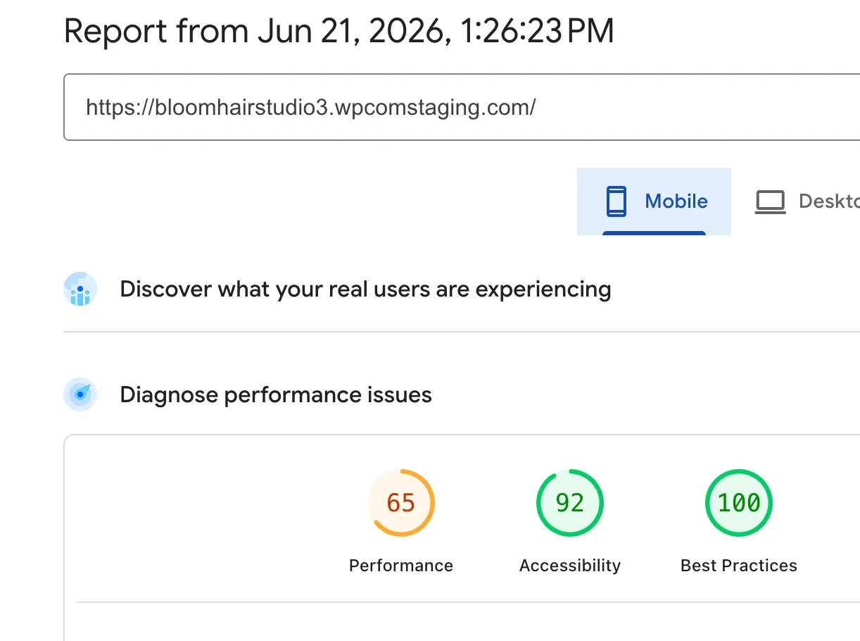 PageSpeed Insights mobile result before optimisation: Performance 65, Accessibility 92, Best Practices 100