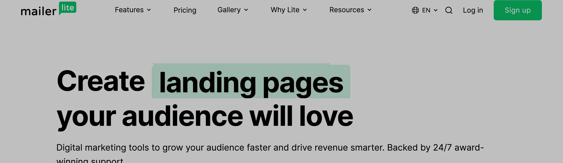 MailerLite homepage: Create landing pages your audience will love, digital marketing tools to grow your audience