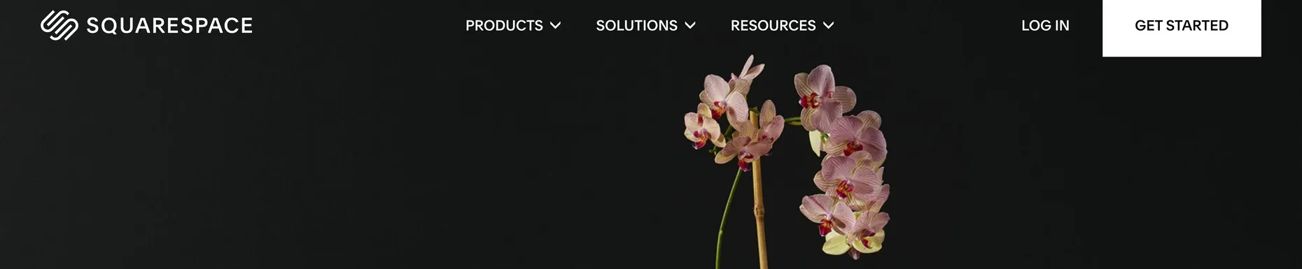 Squarespace ecommerce page with the Squarespace wordmark, Products and Solutions nav, and a styled product photo hero