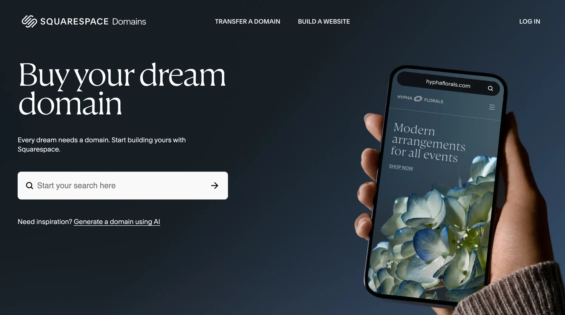 Squarespace Domains domain search page